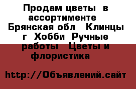 Продам цветы  в ассортименте - Брянская обл., Клинцы г. Хобби. Ручные работы » Цветы и флористика   